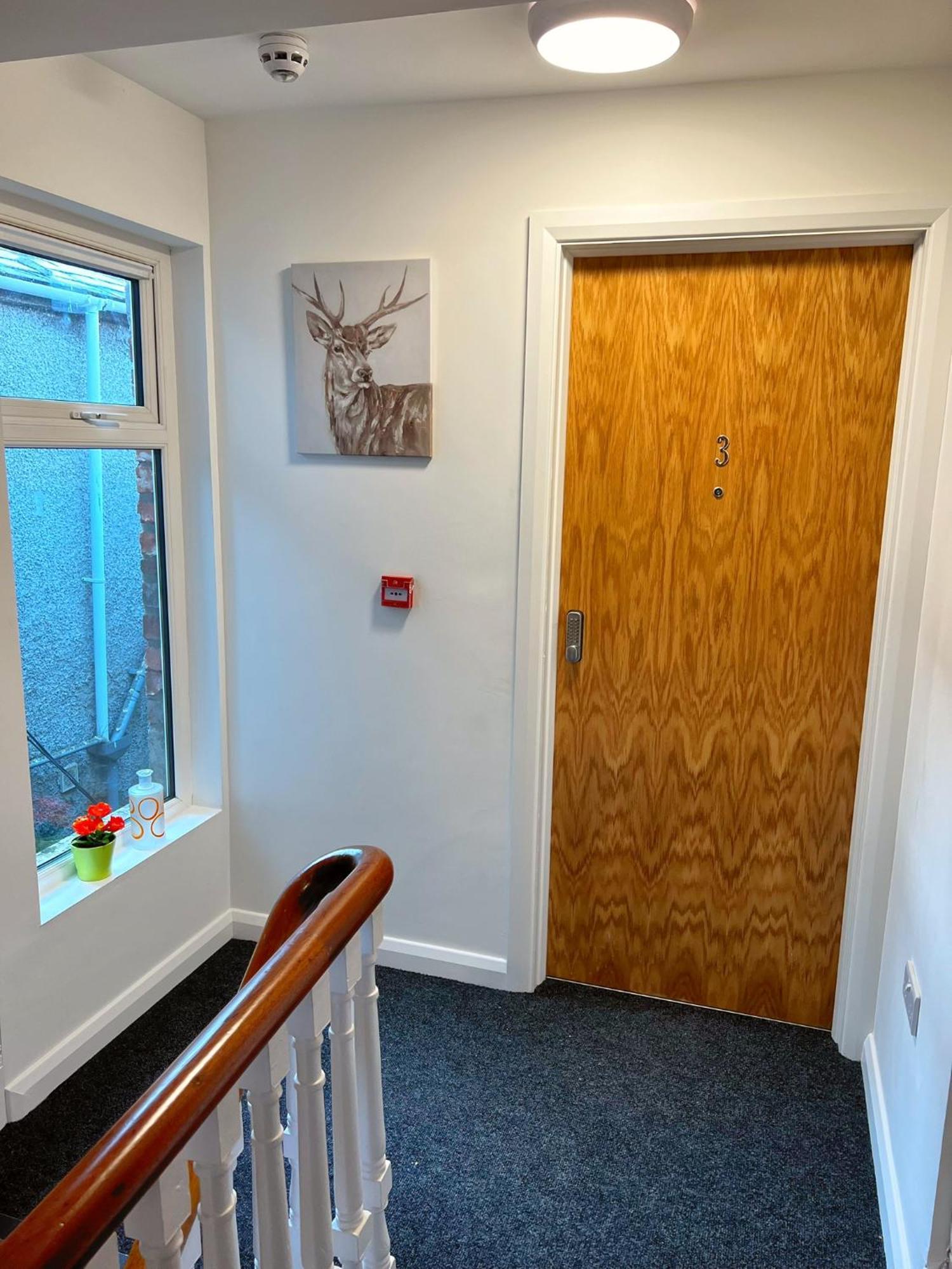 Bangor Central Apartments Εξωτερικό φωτογραφία